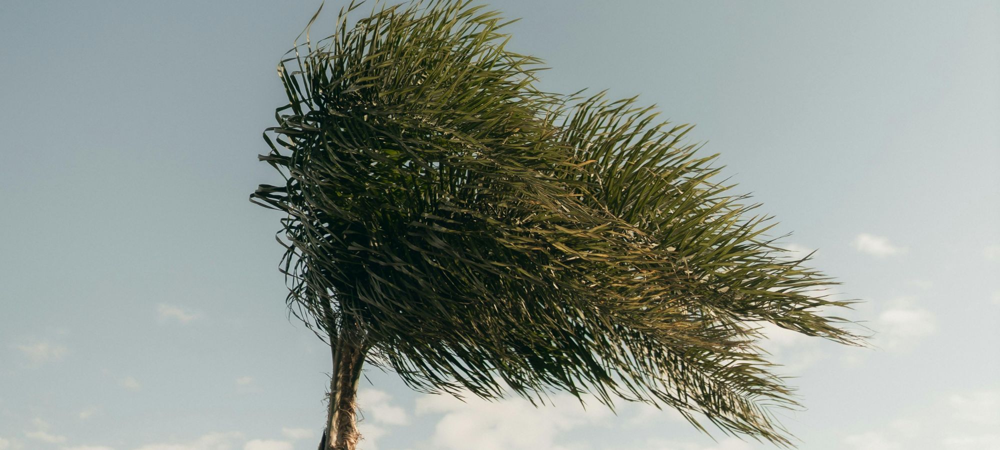 El vent de 140 km/h deixa incid&egrave;ncies a la Comunitat