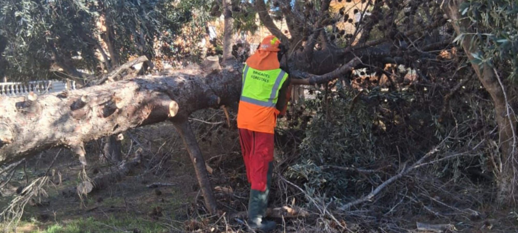 La Comunitat activa un av&iacute;s especial pel vent