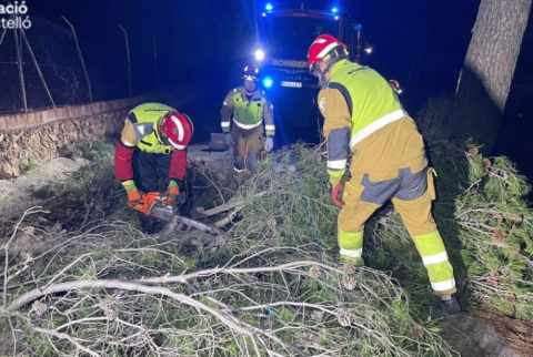 L'alerta roja per vent a Castelló de la Plana registra 92 incidències