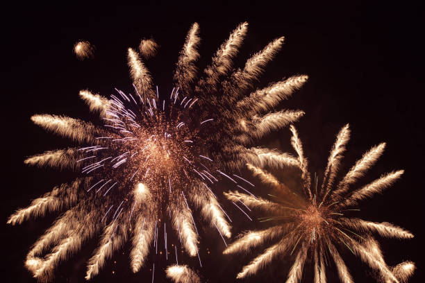 El cap de Chaplin corona la falla municipal en una nit piromusical