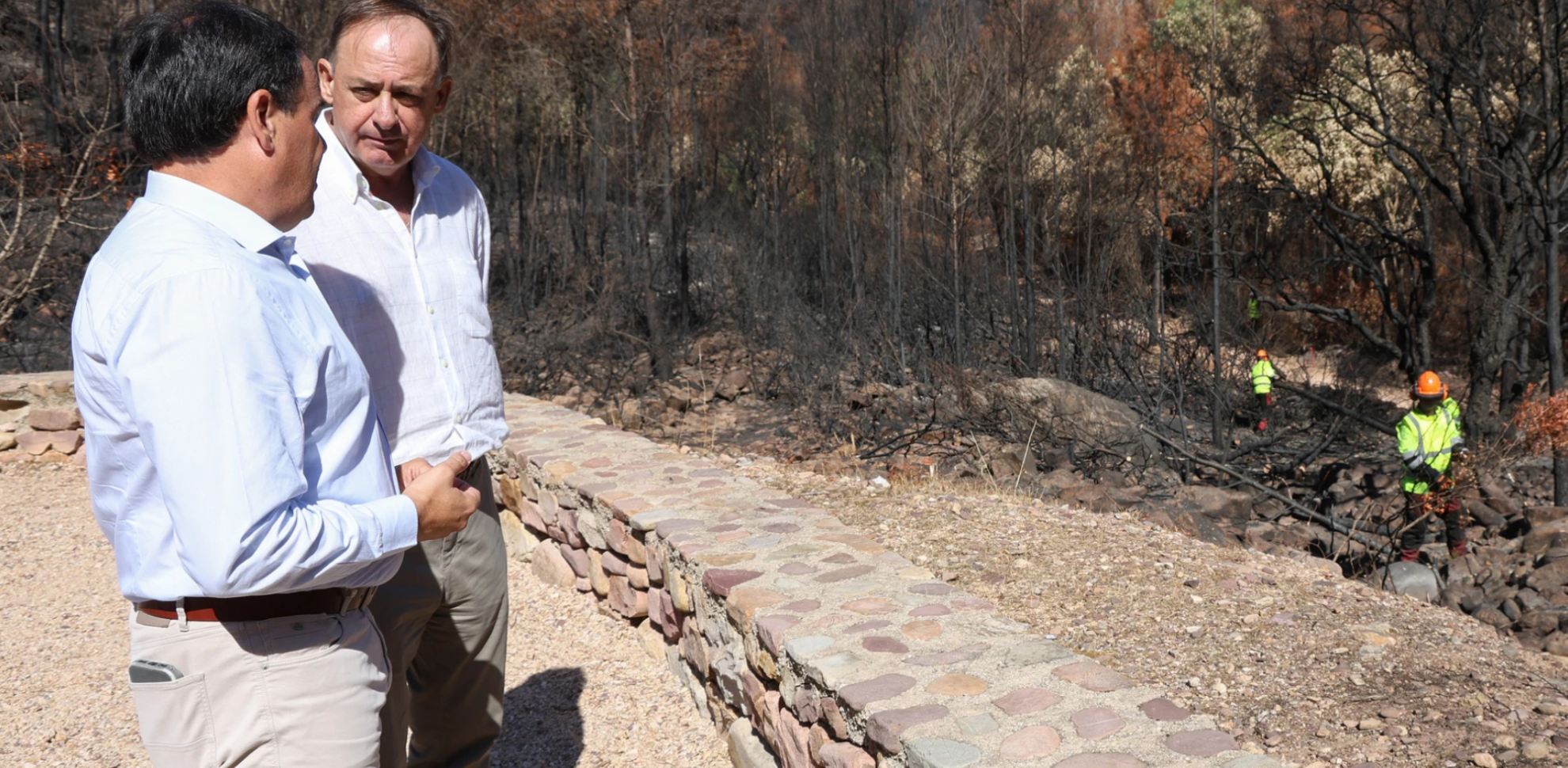 Llorca anuncia una nova llei forestal