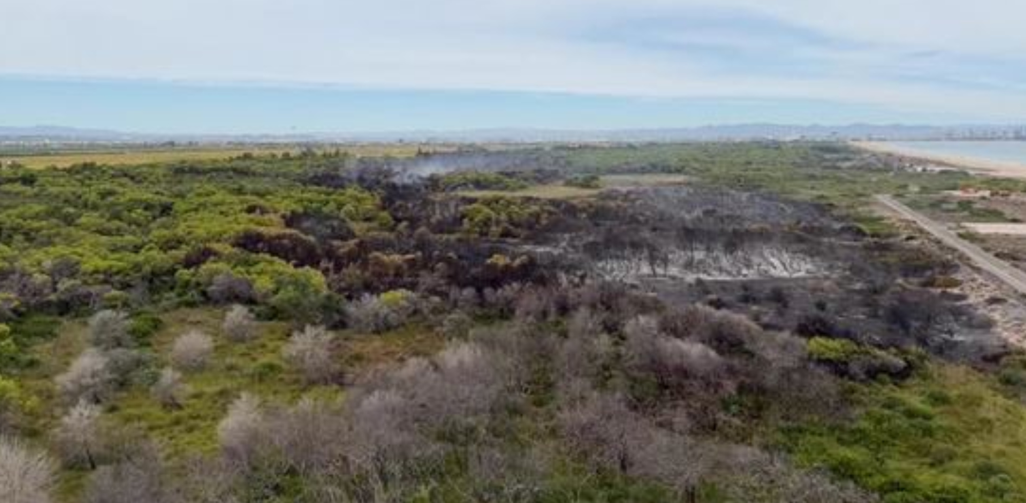 L'incendi del Saler es d&oacute;na per estabilitzat
