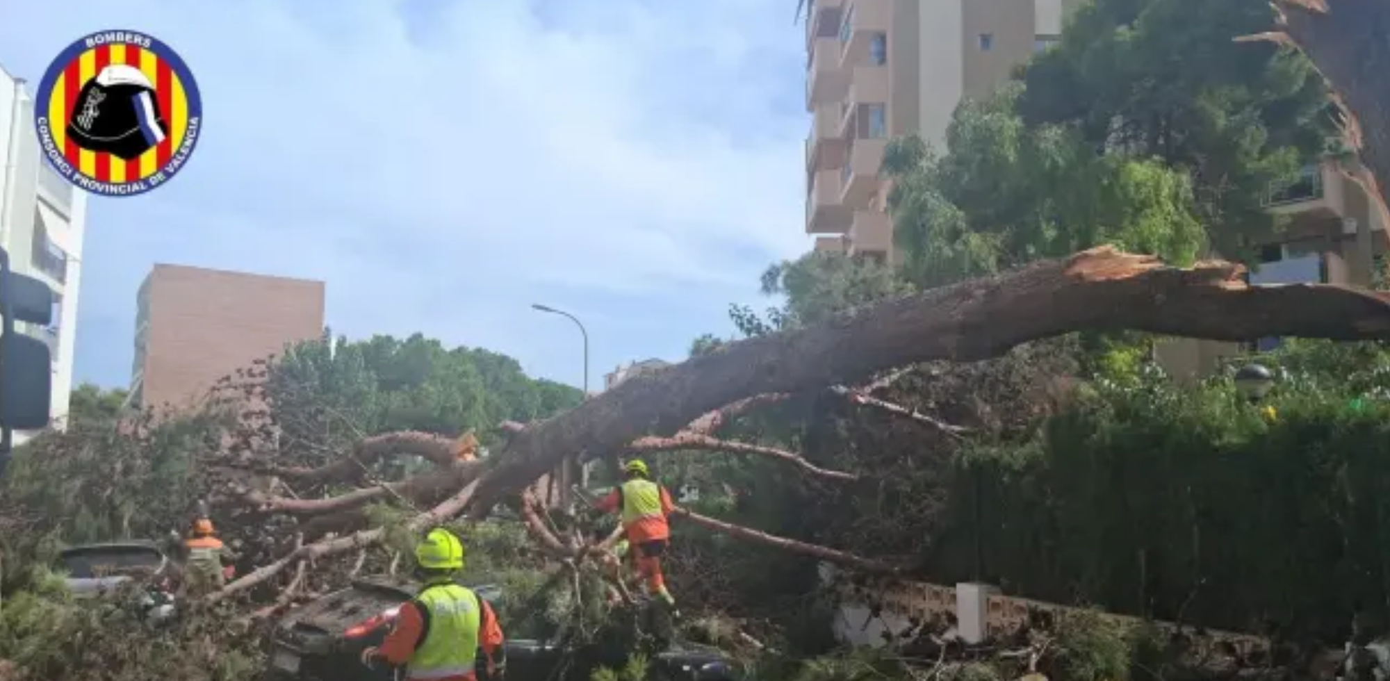 Les tempestes deixen 80 l/m&sup2; i ratxes de 149 km/h a la Comunitat