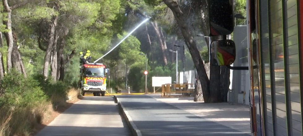 El Saler recupera la normalitat despr&eacute;s de l'incendi forestal