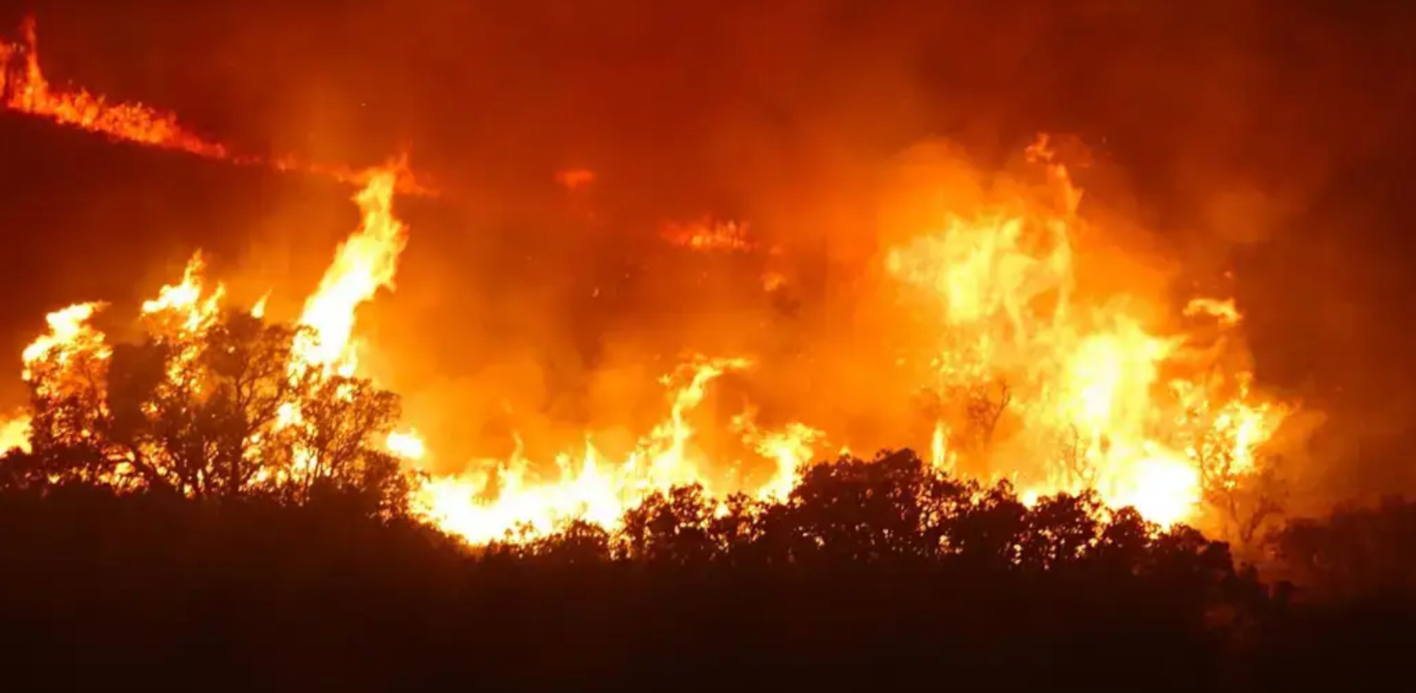 El Consell defensa la gesti&oacute; dels &uacute;ltims incendis