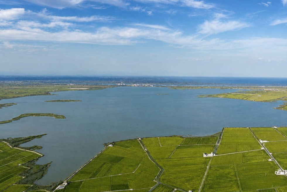 L'Albufera reclama un gran pacte per a frenar dècades de degradació